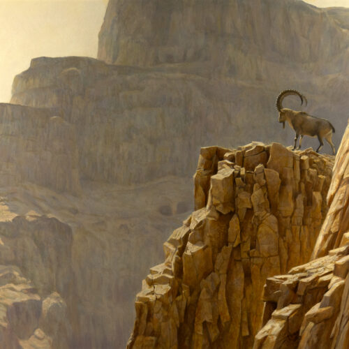 Robert Bateman (1930- ) Ibex At Masada, 1999 Acrylic On Panel 29 X 39