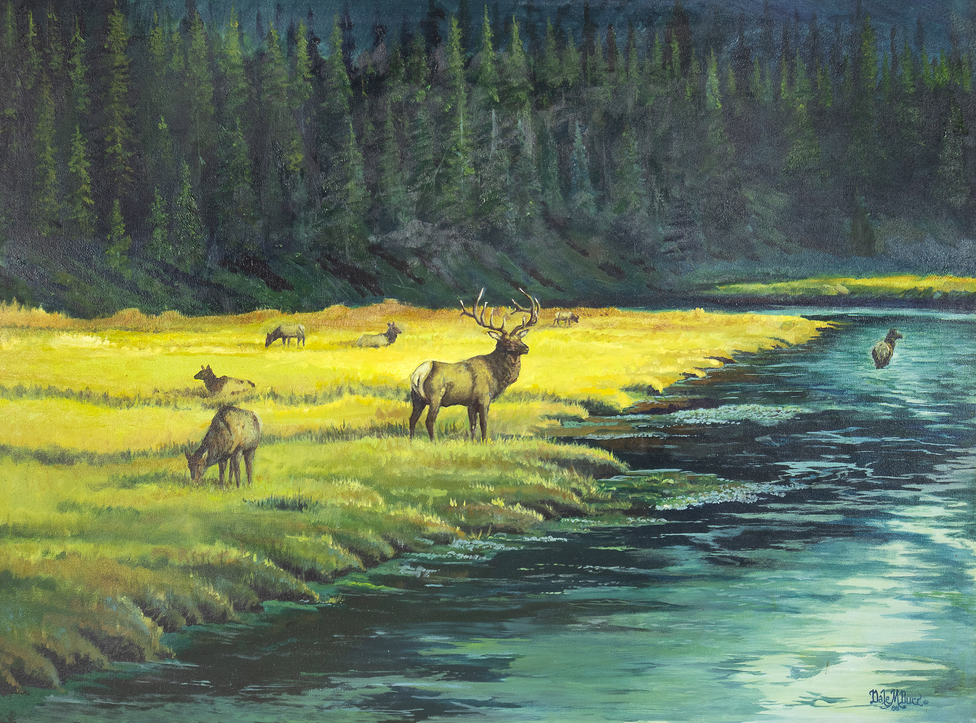 Burr-Dale-Untitled-elk-near-river