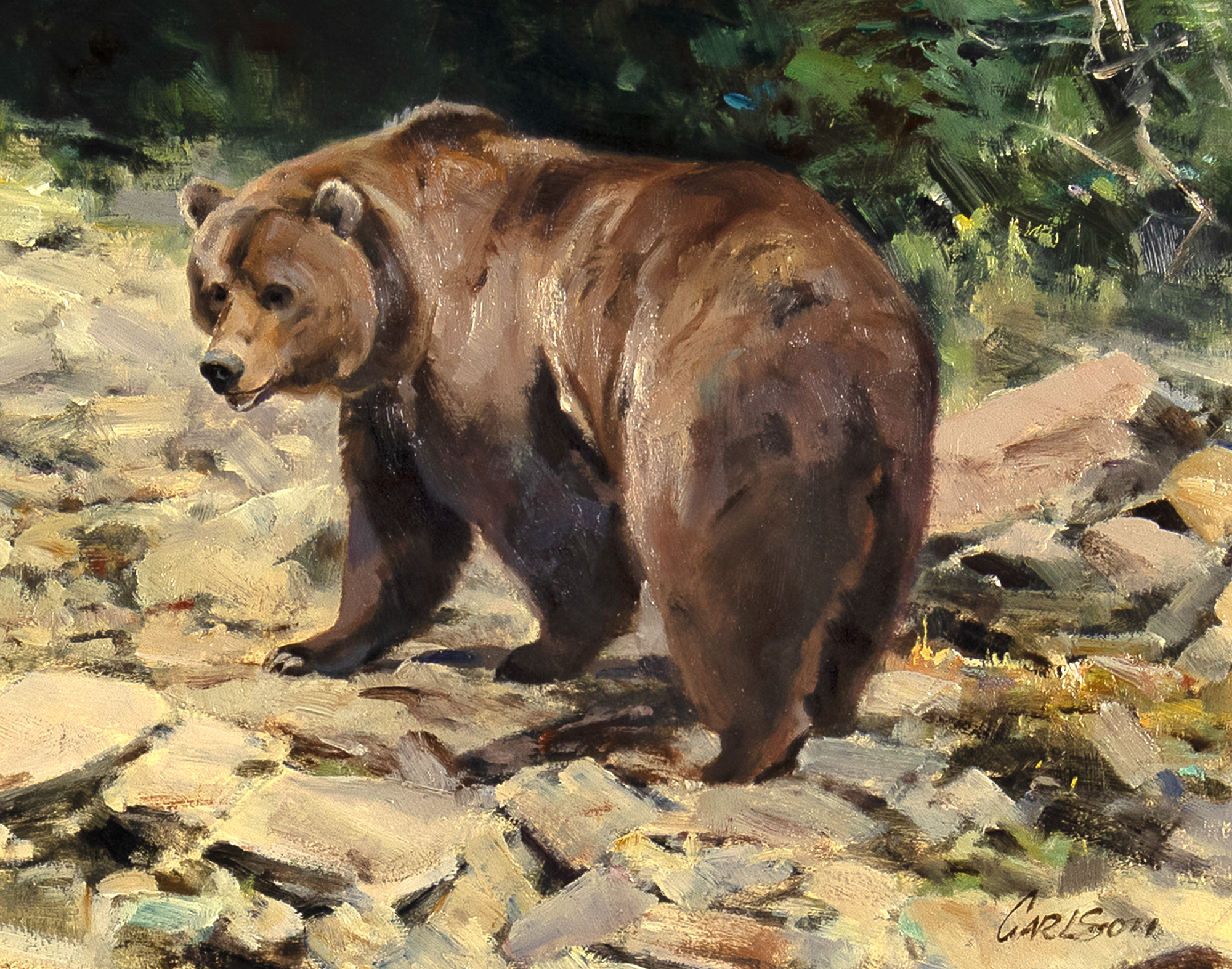 Ken Carlson (1937- ) Grizzly Bear oil on canvasboard 10 x 13