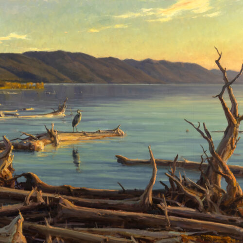 Aspevig-Clyde-Flathead-Lake-Bird-Refuge