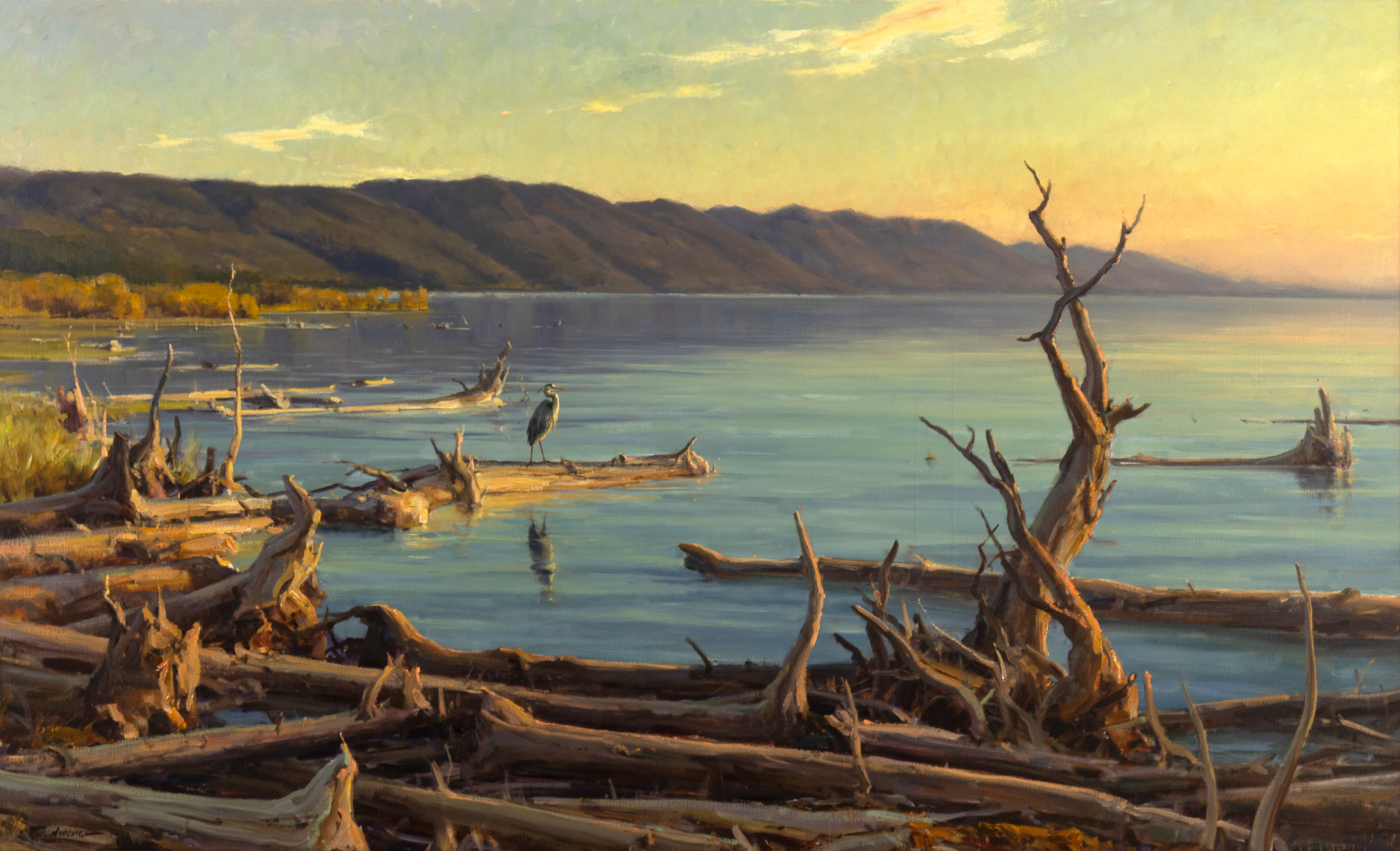 Aspevig-Clyde-Flathead-Lake-Bird-Refuge