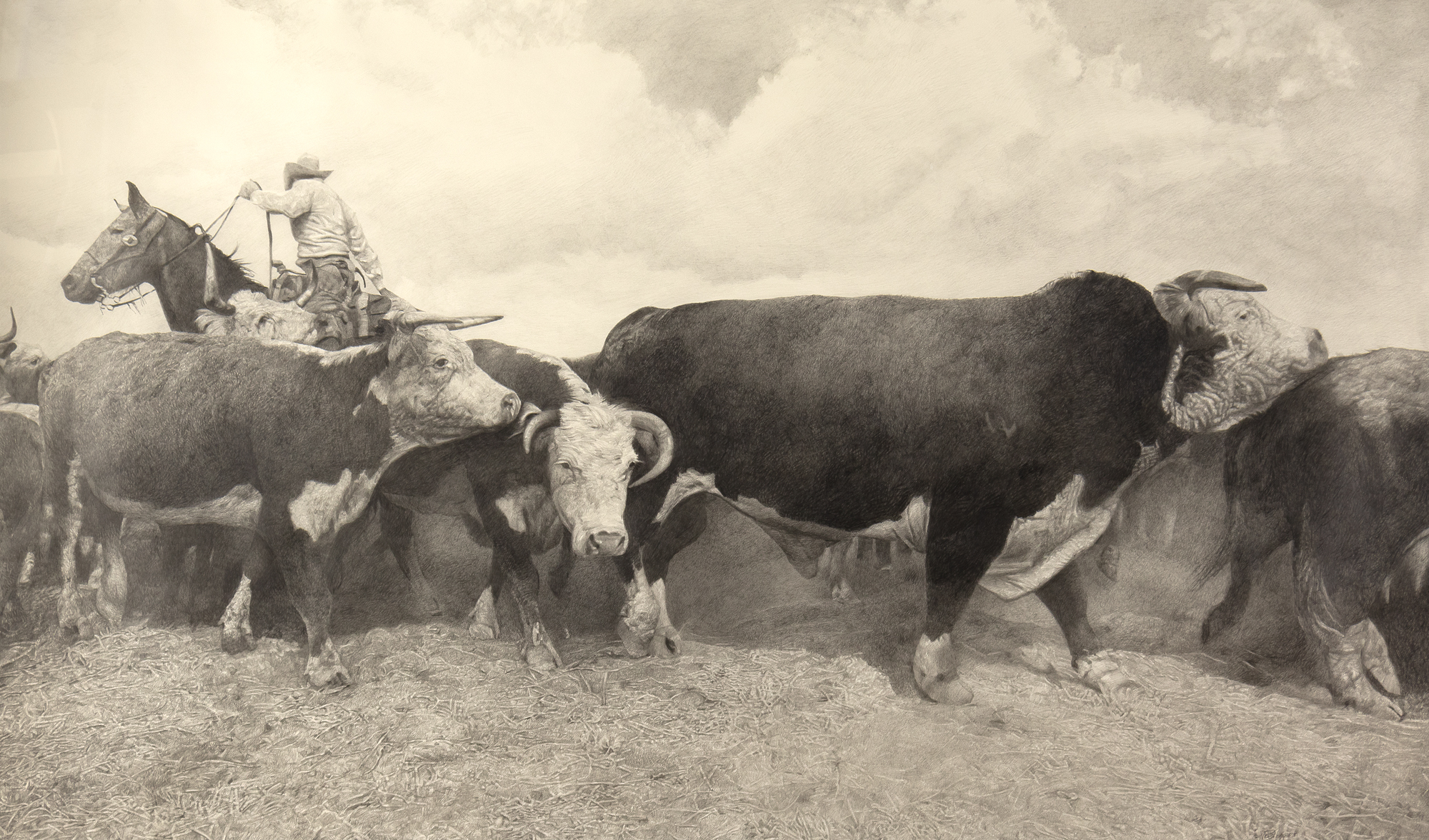 Woodrow Blagg (1946-2023) Bull Rush, 2008 graphite on rag paper