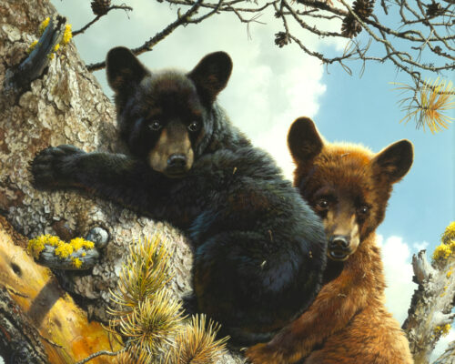 Carl Brenders (1937- ) High Adventure - Black Bear Cubs, 1987 Mixed Media On Board