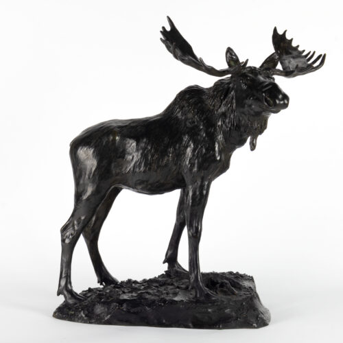 Henry Merwin Shrady (1871-1922) Bull Moose, 1900 Bronze