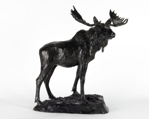 Henry Merwin Shrady (1871-1922) Bull Moose, 1900 Bronze