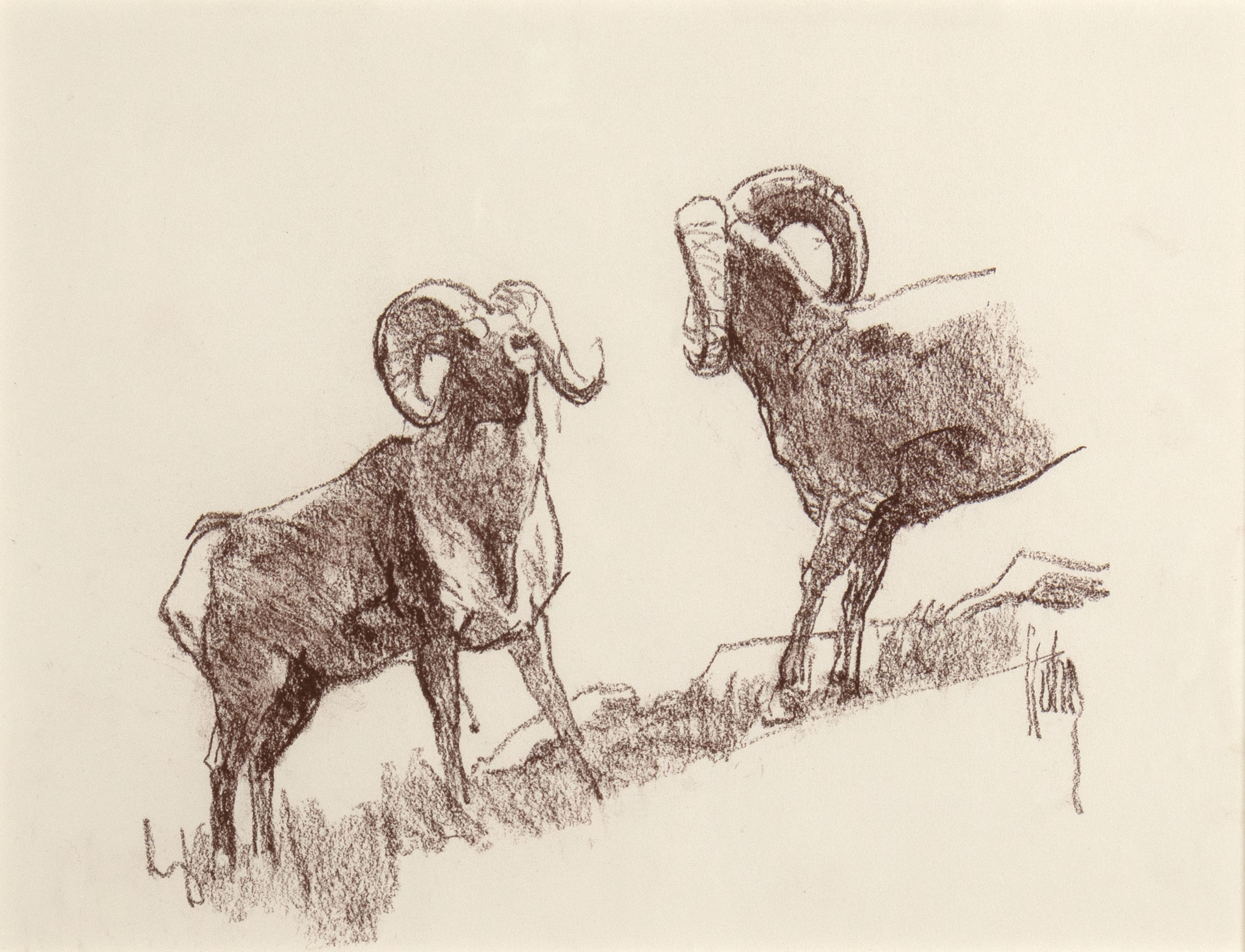 Bob Kuhn (1920-2007) Two Rams conte crayon on paper 8 3/4 x 11 3/8