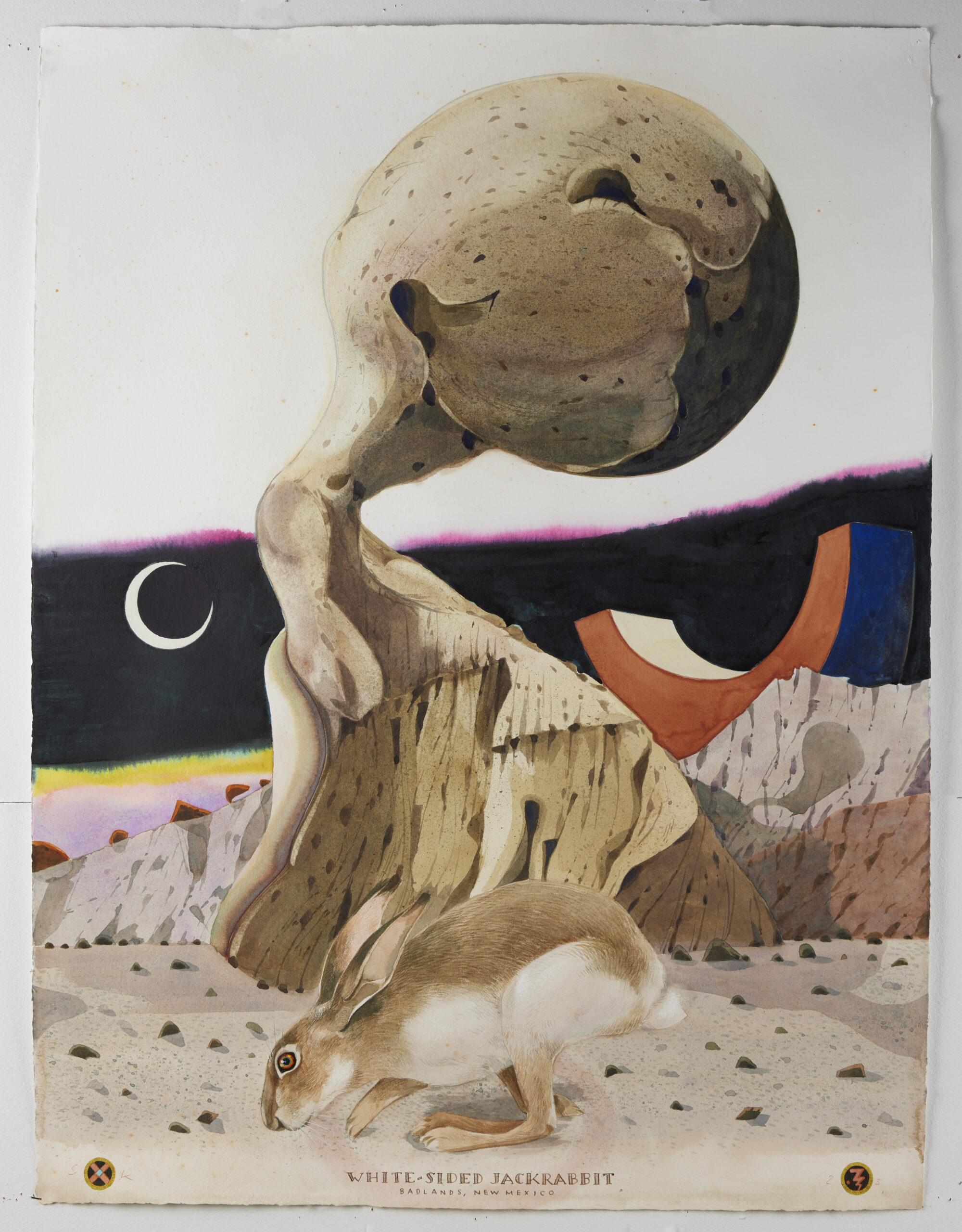 Scott Kelley (1963- ) White-sided Jackrabbit watercolor, gouache & graphite on paper 39 1/2 x 29 1/2