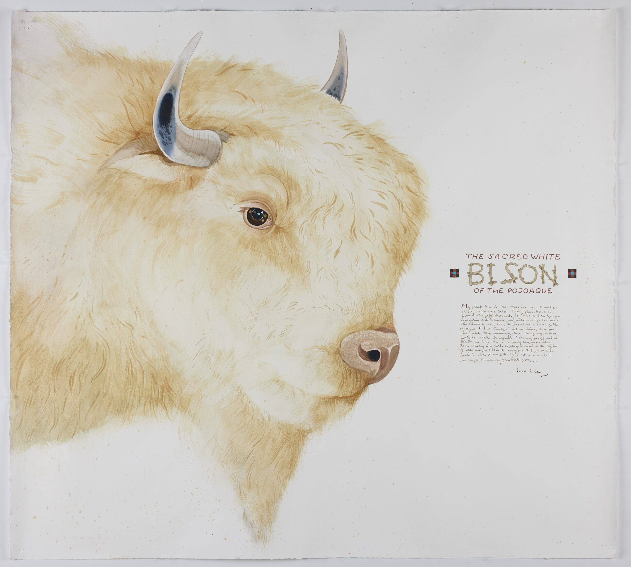 Scott Kelley (1963- ) Sacred White Bison of the Pojoaque watercolor, gouache & graphite on paper 49 1/2 x 55 1/8