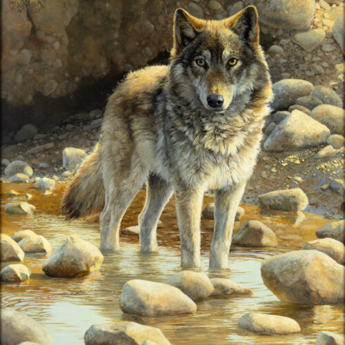 Bonnie Marris (1951- ) Untitled (Wolf) Oil On Board 29 1/16 X 23 1/16