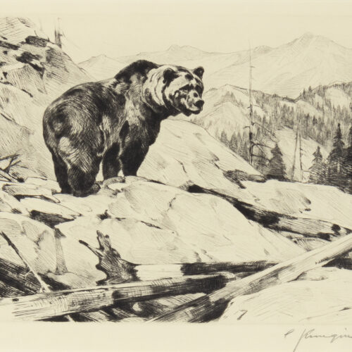 Carl Rungius (1869-1959) Silvertip Etching And Drypoint On Paper 8 7/8 X 11 1/2