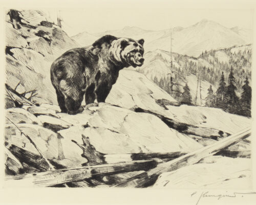 Carl Rungius (1869-1959) Silvertip Etching And Drypoint On Paper 8 7/8 X 11 1/2